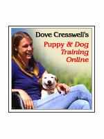 dove dog training online