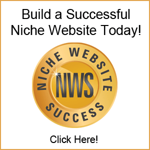 Build a successful niche website