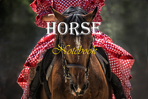 Horse Notebook